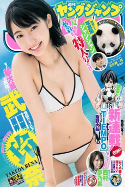 知青 电视剧