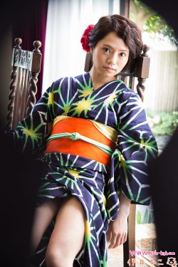 篱笆middot女人和狗